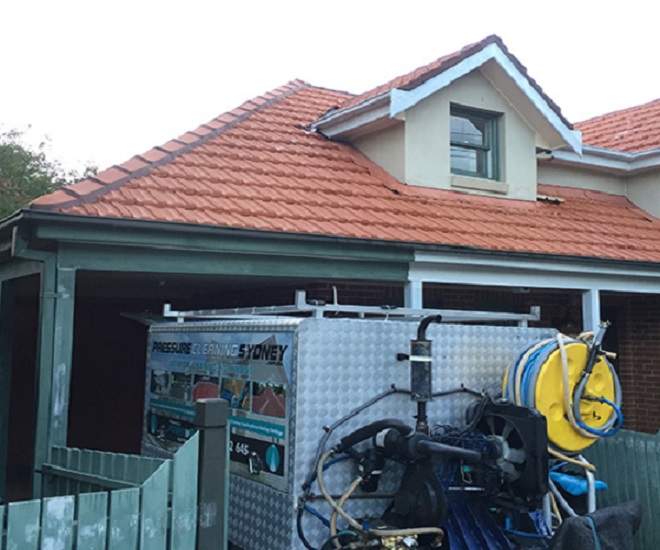 Roof Cleaning Bellevue Hill