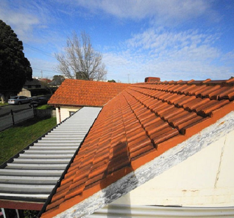 roof cleaning service sydney